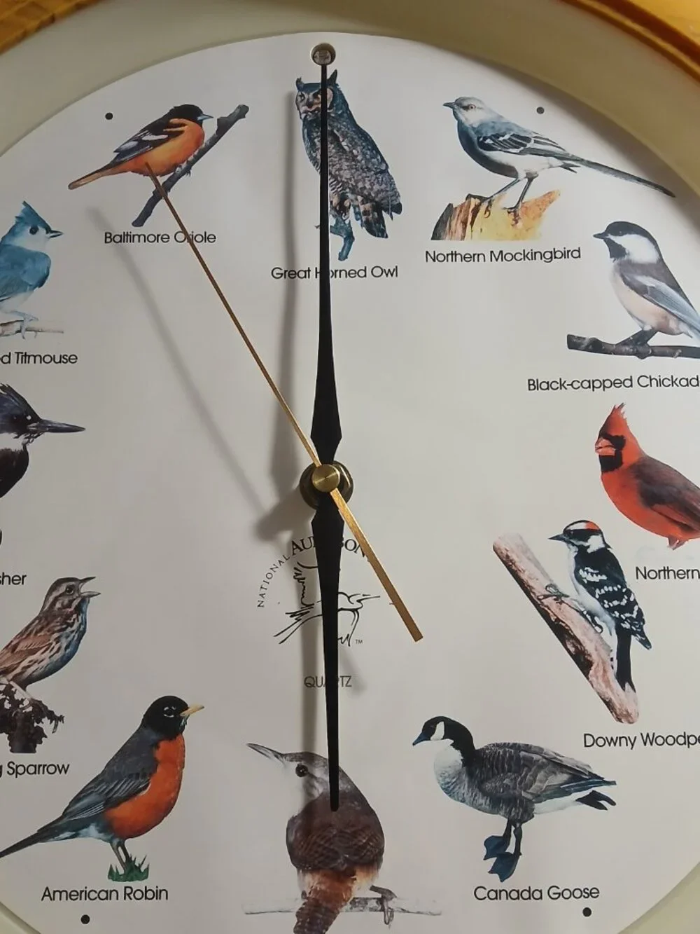House Wren Singing Bird Clock